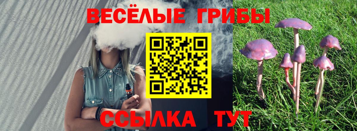 Владикавказ  Галлюциногенные грибы мухоморы  Вход с VPN 